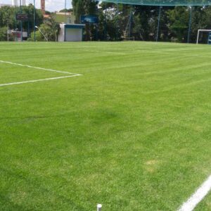 Gramados Naturais: Quais as Melhores Gramas para o Futebol